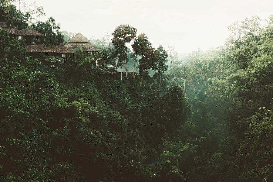 Nuwara Eliya, Sri Lanka